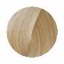 Topchic Hair Color Coloration Стойкая профессиональная краска для волос 10N - светлый блондин экстра (250 мл)