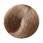 Topchic Hair Color Coloration Стойкая профессиональная краска для волос 9GB - песочный светло-русый экстра (250 мл)