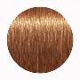 Topchic Hair Color Coloration Стойкая профессиональная краска для волос 8KG - медно-золотистый блондин (250 мл)