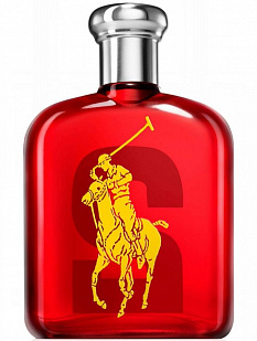 Ralph Lauren Ralph Lauren Big Pony 2