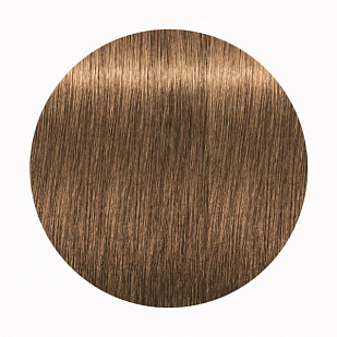 Schwarzkopf Igora Royal High Power Browns - Краска для волос брюнеток В-4 Schwarzkopf Igora Royal High Power Browns - Краска для волос брюнеток В-4