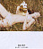 Marc Jacobs Marc Jacobs Daisy