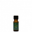 Tea Tree Essential Oil Эфирное масло чайного дерева