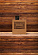 Dsquared2 Dsquared2 Intense He Wood