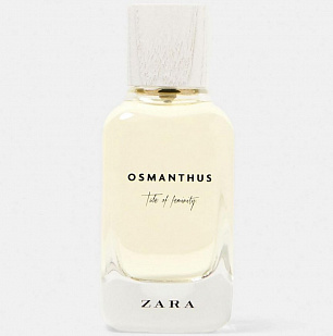 Zara Zara Osmanthus