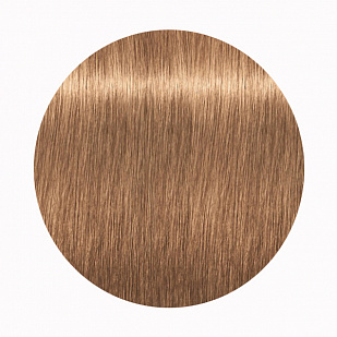 Schwarzkopf Igora Royal Стойкая крем-краска для волос 8-65 Светлый русый шоколадный золотистый Schwarzkopf Igora Royal Стойкая крем-краска для волос 8-65 Светлый русый шоколадный золотистый