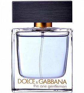  Dolce & Gabbana The One Gentleman