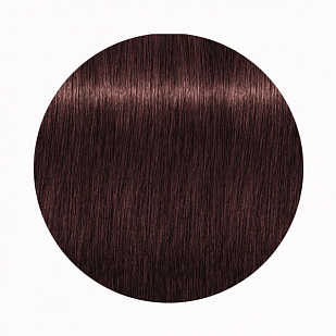 Schwarzkopf Igora Royal High Power Browns - Краска для волос брюнеток В-9 Schwarzkopf Igora Royal High Power Browns - Краска для волос брюнеток В-9