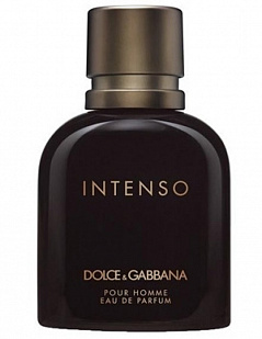 Dolce & Gabbana Dolce & Gabbana Pour Homme Intenso Dolce & Gabbana Dolce & Gabbana Pour Homme Intenso