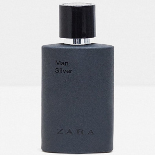 Zara Zara Zara Man Silver