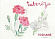 Nishane Nishane Tuberoza
