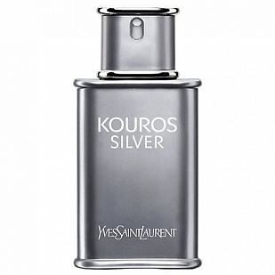 Yves Saint Laurent Yves Saint Laurent Kouros Silver