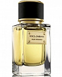 Dolce & Gabbana Velvet Patchouli