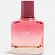 Zara Pink Flambe Summer Zara Pink Flambe Summer