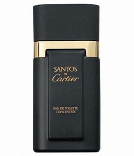 Cartier Cartier Santos de Cartier