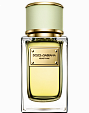 Dolce & Gabbana Velvet Pure