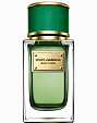 Dolce & Gabbana Velvet Cypress
