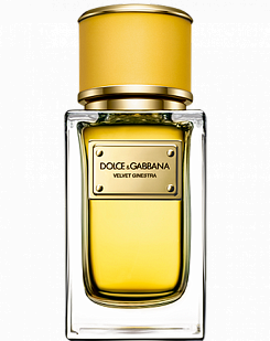  Dolce & Gabbana Velvet Ginestra