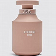 Zara A PERFUME IN ROSE