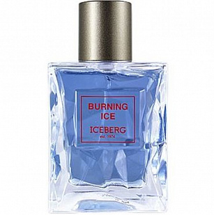 Iceberg Iceberg Burning Ice