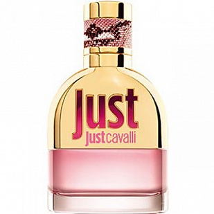 Roberto Cavalli Roberto Cavalli Just Cavalli
