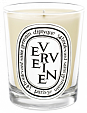 Diptyque Verveine