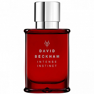David & Victoria Beckham David & Victoria Beckham Intense Instinct