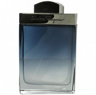 Salvatore Ferragamo Salvatore Ferragamo Subtil Pour Homme