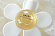 Marc Jacobs Marc Jacobs Daisy Petite Flower On The Go!