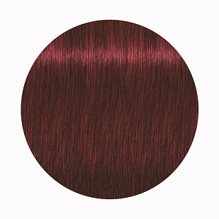 Schwarzkopf Igora Royal Стойкая крем-краска для волос 5-88 Светлый коричневый красный экстра Schwarzkopf Igora Royal Стойкая крем-краска для волос 5-88 Светлый коричневый красный экстра