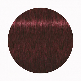 Schwarzkopf Igora Royal Стойкая крем-краска для волос 4-88 Средний коричневый красный экстра Schwarzkopf Igora Royal Стойкая крем-краска для волос 4-88 Средний коричневый красный экстра