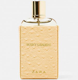 Zara Zara Bushy Gardens