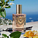 Dolce & Gabbana Devotion Dolce & Gabbana Devotion