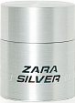 Zara Zara Silver