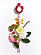 Nina Ricci Nina Ricci Nina Rouge