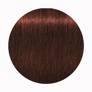 Schwarzkopf Igora Royal High Power Browns - Краска для волос брюнеток В-8