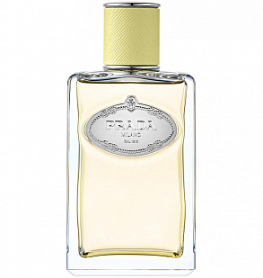 Prada Prada Infusion de Gingembre