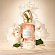 Donna Karan Donna Karan Cashmere & Rose Absolu