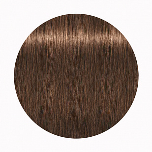 Schwarzkopf Igora Royal Стойкая крем-краска для волос 6-65 Темный русый шоколадный золотистый Schwarzkopf Igora Royal Стойкая крем-краска для волос 6-65 Темный русый шоколадный золотистый