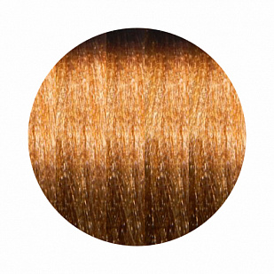 Paul Mitchell The Color XG Стойкая краска для волос 8/3 G - Золотистый светлый блондин