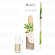 Janssen Skin Contour Fluid