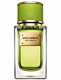 Dolce & Gabbana Velvet Mughetto