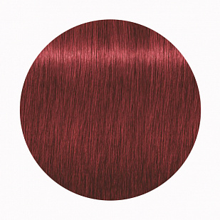 Schwarzkopf Igora Royal Стойкая крем-краска для волос 6-88 Темный русый красный экстра Schwarzkopf Igora Royal Стойкая крем-краска для волос 6-88 Темный русый красный экстра