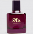 Zara VIOLET BLOSSOM