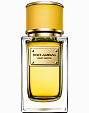 Dolce & Gabbana Velvet Ginestra