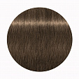 Igora Royal High Power Browns - Краска для волос брюнеток В-2 Igora Royal High Power Browns - Краска для волос брюнеток В-2