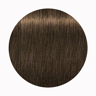 Schwarzkopf Igora Royal High Power Browns - Краска для волос брюнеток В-3 Schwarzkopf Igora Royal High Power Browns - Краска для волос брюнеток В-3