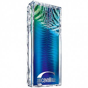 Roberto Cavalli Roberto Cavalli Just Cavalli Blue