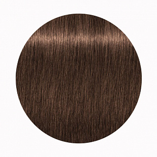 Schwarzkopf Igora Royal High Power Browns - Краска для волос брюнеток В-6 Schwarzkopf Igora Royal High Power Browns - Краска для волос брюнеток В-6