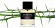 Frederic Malle Frederic Malle Rose & Cuir
